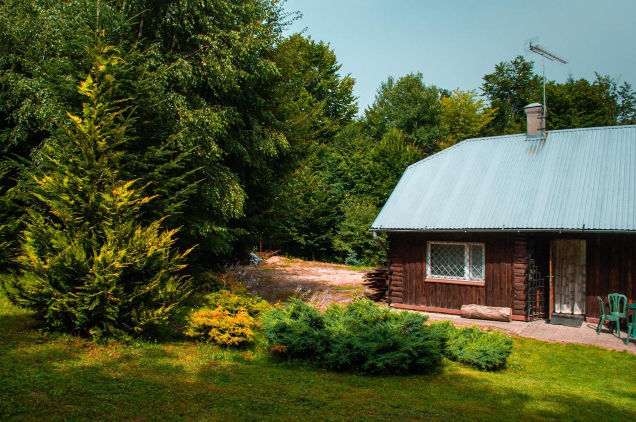 Ptasi Śpiew Villa Futoma Bagian luar foto