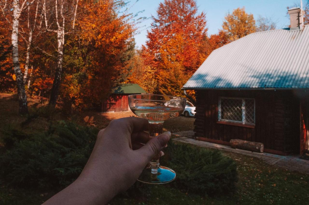 Ptasi Śpiew Villa Futoma Bagian luar foto